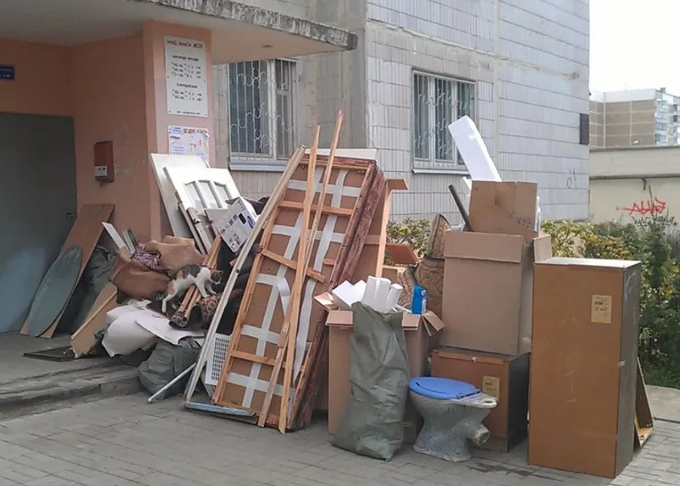 Профессиональный вывоз мусора из квартиры в Полевской в октябре