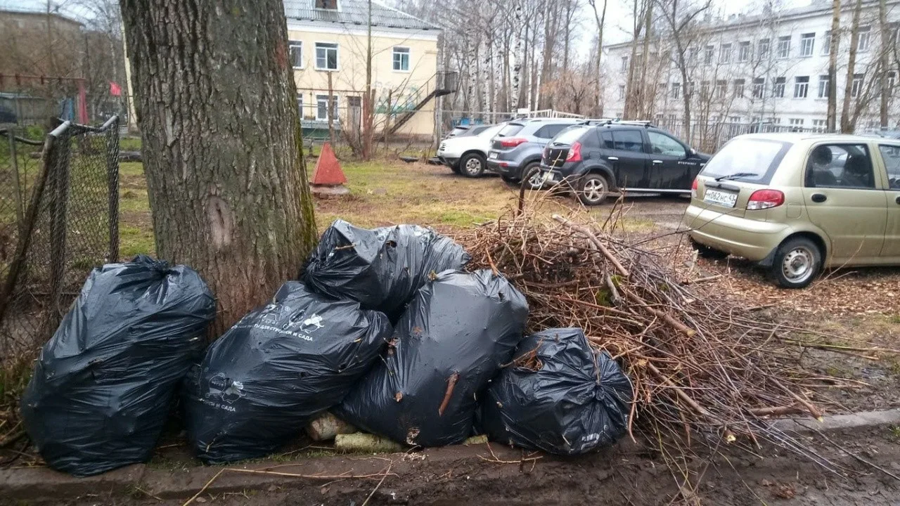 Вывоз мусора после субботника в Полевской от ПроМусор – уборка и утилизация отходов от 2412 руб