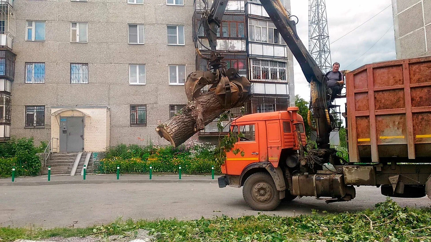 Вывоз спиленных веток и деревьев в Полевской от ПроМусор: порубочные остатки, утилизация, цена от 2977 руб