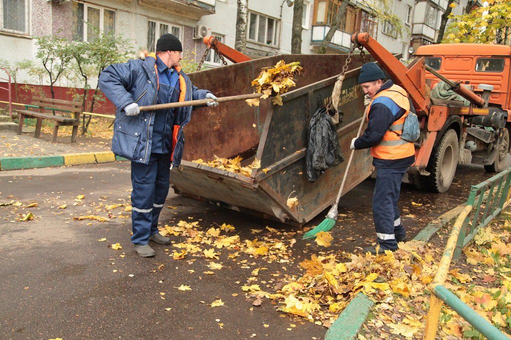 Вывоз опавшей листвы и растительного мусора в Полевской от ПроМусор – цена от 4619 руб., быстрая уборка и утилизация